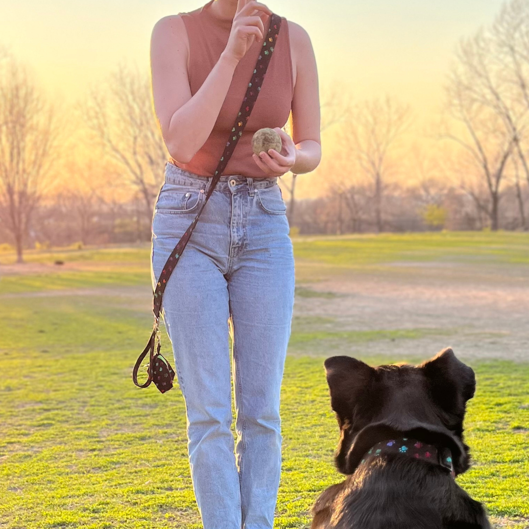 Dog Leash PDF Sewing Pattern