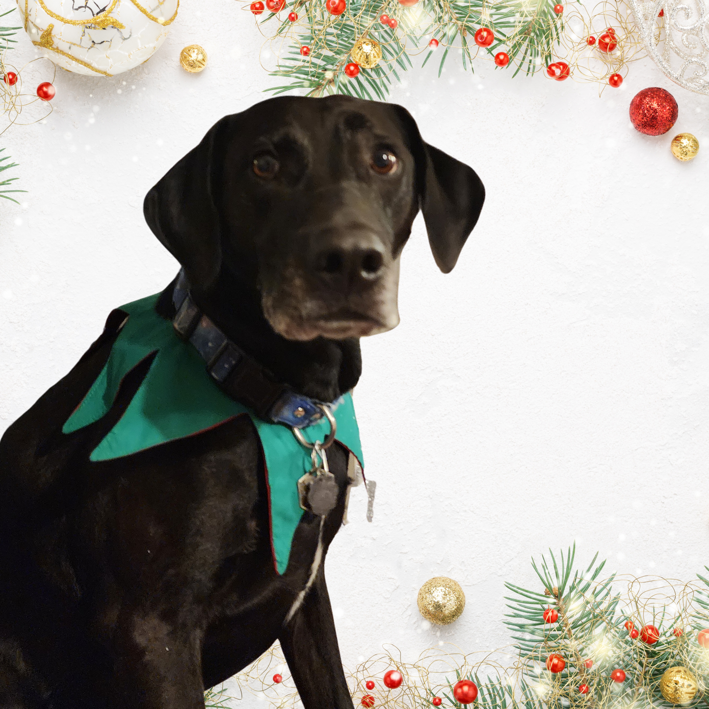 Easy Elf Collar Sewing Pattern, Easy Beginner PDF and Projector Files with 8 Sizes