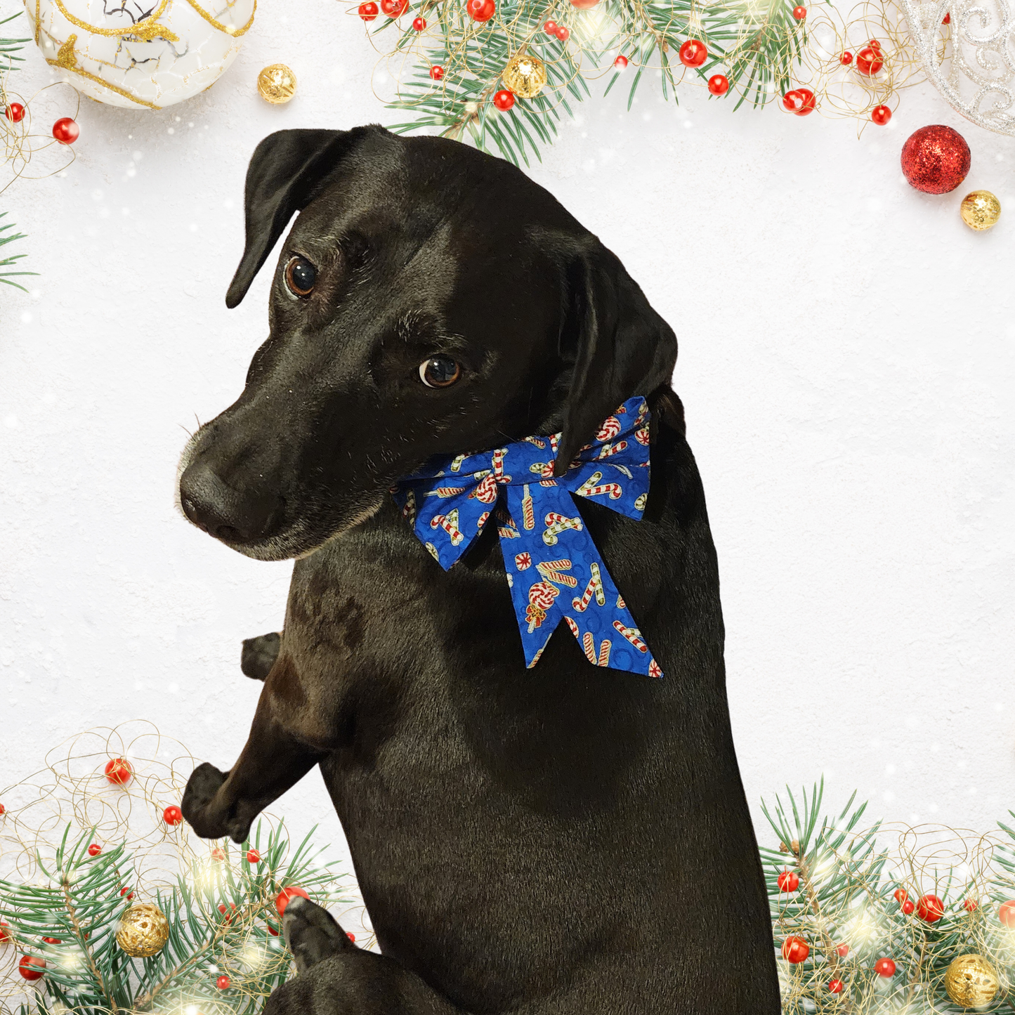 Pet Collar Bow Sewing Pattern, Easy Beginner PDF and Projector Files with 8 Sizes