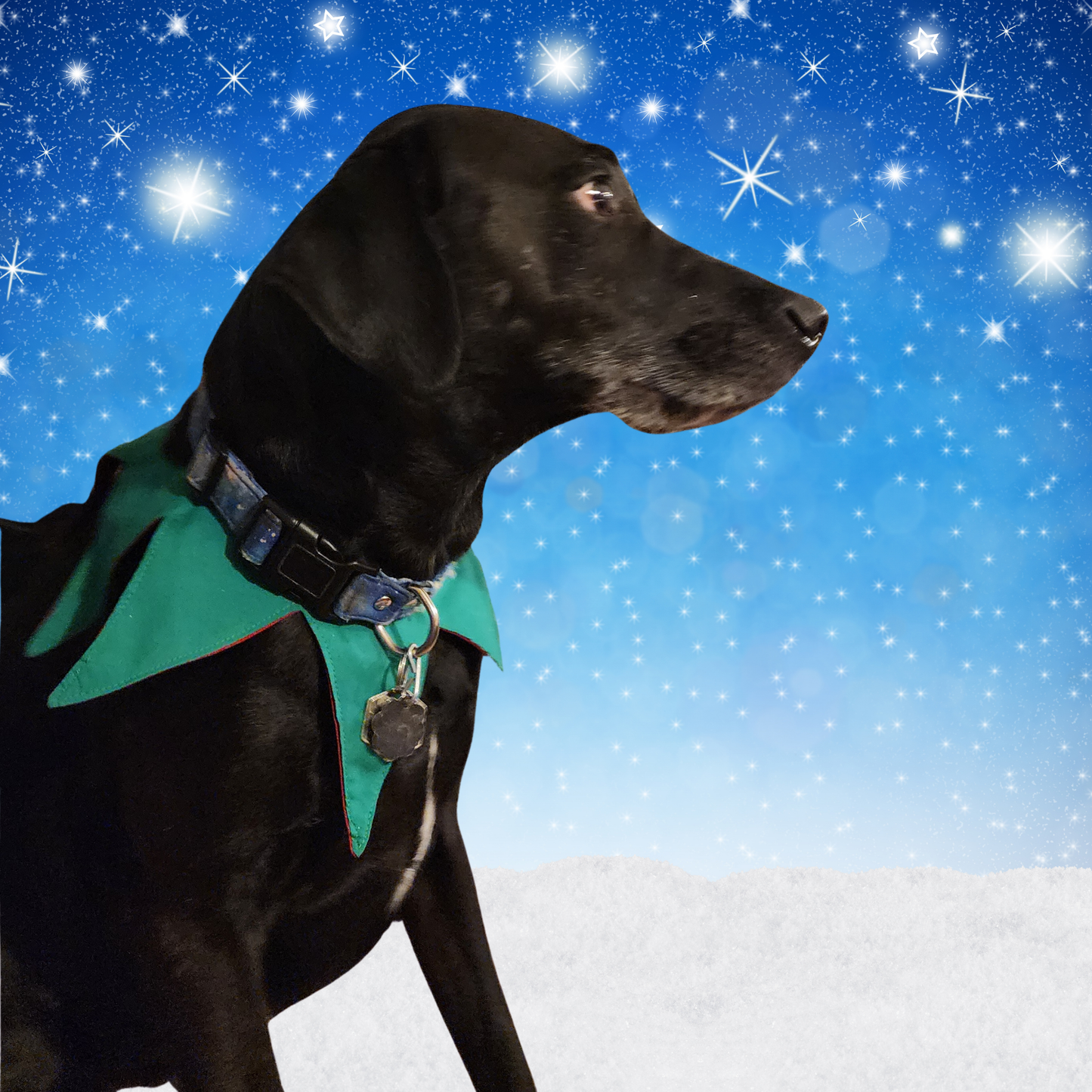 Easy Elf Collar Sewing Pattern, Easy Beginner PDF and Projector Files with 8 Sizes